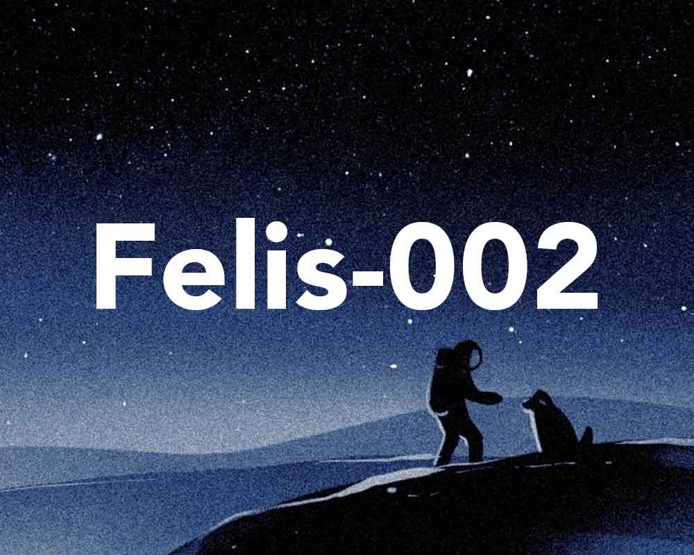 felis002.jpg