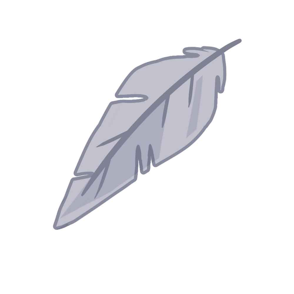 羽毛